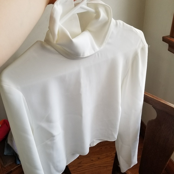 Aritzia Babaton Crop Long Sleeve Blouse - Picture 5 of 10
